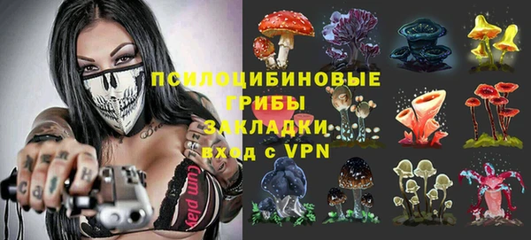 сатива Вязники